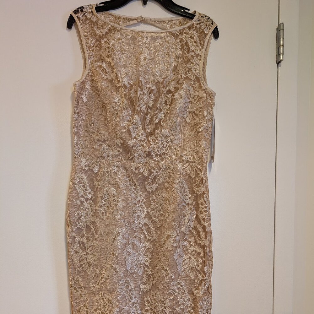 NWT Maggy London champagne gold lace sheath cocktail dress, Size 2